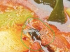 -四川老牛麻辣烫(北门桥店)