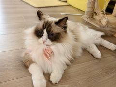 -朗丽兹自助餐厅