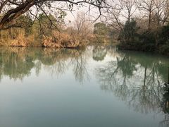 -西溪国家湿地公园