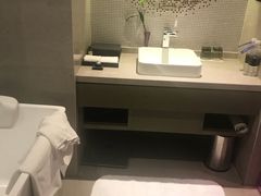 -南京禄口机场雅高铂尔曼大酒店
