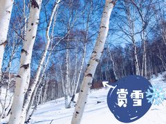 -长白山华美胜地滑雪场