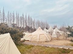 -前小桔亲子创意农场·草莓采摘·露营烧烤