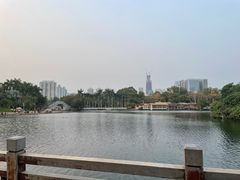 -荔枝公园(福田区)