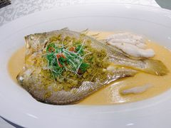 雪菜蒸野生大黄鱼-麟1929(外滩店)