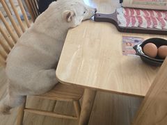 -柴の食堂·日式家庭料理·熊之肆(大学路店)