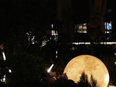 -纽扣NEWKO