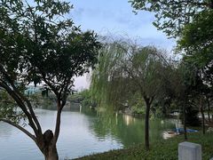 -东山湖公园