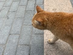 -老外街