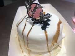 黑糖珍珠梳芙厘-狐狸和向日葵(北京路店)