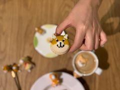 -柴务处·柴犬主题狗咖