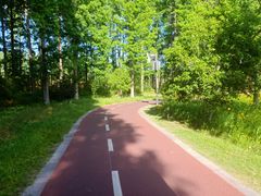 -黄海国家森林公园