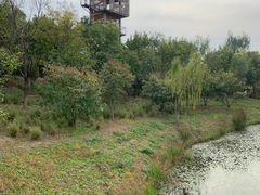 -东郊湿地公园