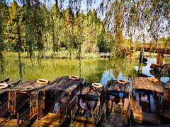 -溱湖国家湿地公园