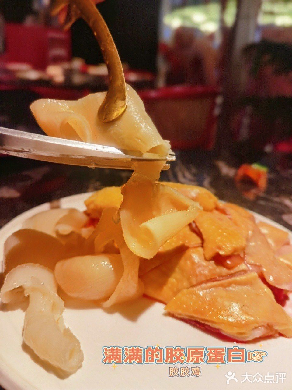 深圳｜这家花胶鸡我爱惨了