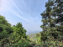 -莫干山风景区