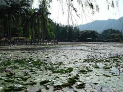 景点-四海公园(南山区)