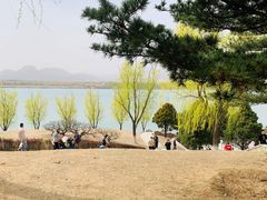-青龙湖公园