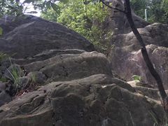 -南山植物园
