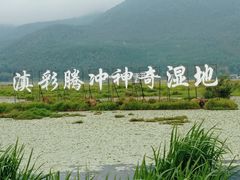 -腾冲北海湿地