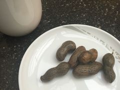 -虹桥机场国航贵宾室v8