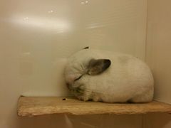 -龙猫仔乐园(惠福东路店)