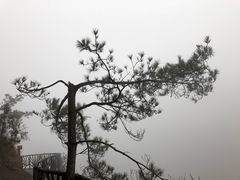 -玻璃桥景区石牛寨