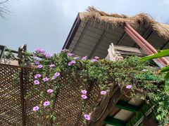 -优游吧斯邹族文化部落