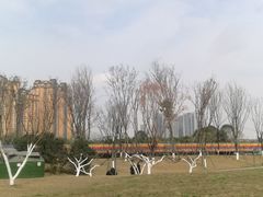 -府河摄影公园