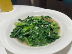 -四季春