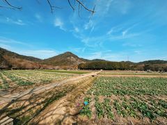 -八卦田遗址公园
