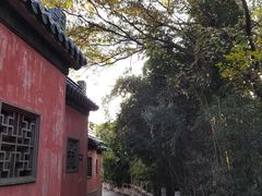 -焦山景区-万佛塔