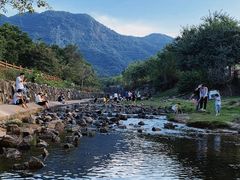 -马峦山郊野公园