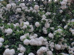 -杭州师范大学(下沙校区)