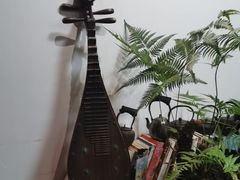 -道南書院·私房菜·早午茶·茶馆