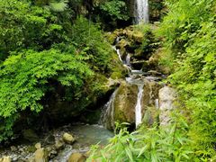 -鹿院坪生态旅游景区