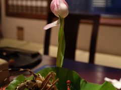 -湖月·割烹料理(湖滨店)