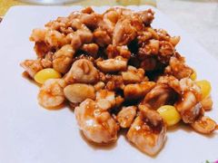 -丁老爷子苏香圆