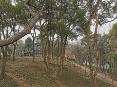 -无锡梅园公园