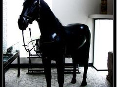 -松声马术俱乐部