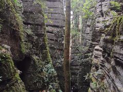 -梭布垭石林景区