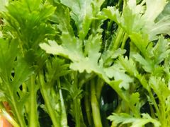 -老码头火锅(骡马市店)