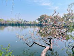 -无锡蠡湖国家湿地公园-蠡园