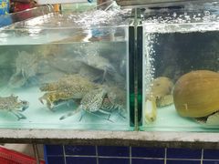 -班赞海鲜市场