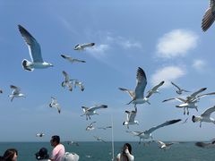 -海驴岛(荣成市)