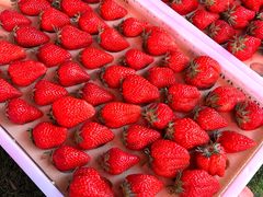 -南坛综合农贸市场