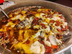-鑫巴蜀小镇 · 水煮鱼专研店(玉桥店)