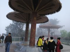 -铁山坪森林公园