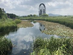 -太湖湖滨国家湿地公园-停车场