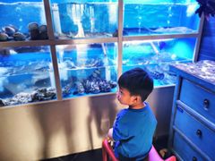 -泮金大塘(北二七路店)