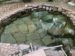 -七仙岭温泉国家森林公园